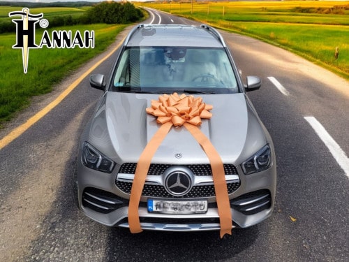 HANNAH produkcja i sprzedaż kokard - kotyliony i kokardy dla branży motoryzacyjnej - duża kokarda na maskę auta - prezent nowy samochód